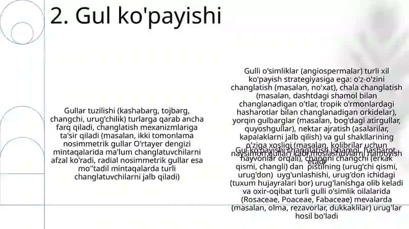Toʻp gullar 4
