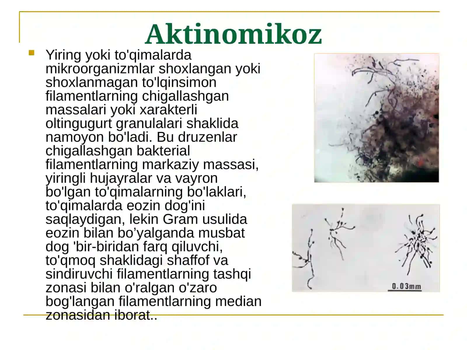 Surunkali va parazitar xirurgik infektsiya 4