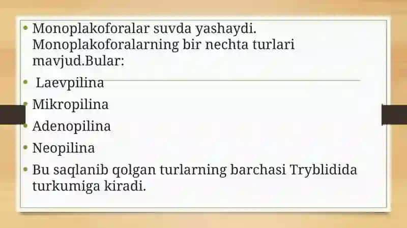 Monoplakoforalar 4