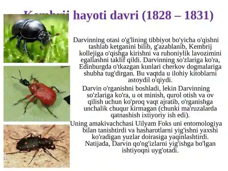 Charlz Darvin 4
