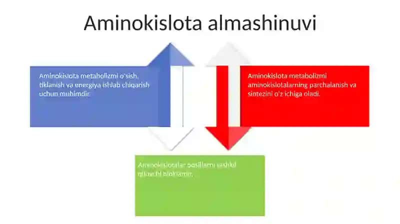 Aminokislotalar 4