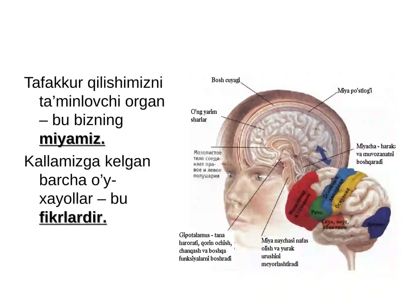 TAFAKKUR 4
