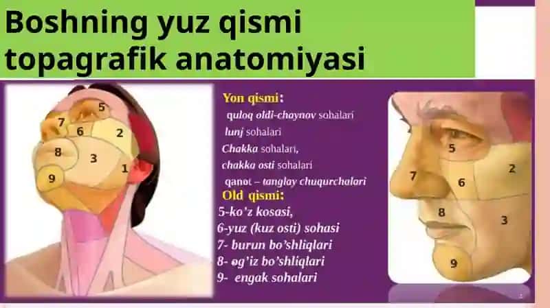 Yuzdagi plastik operatsiyalar xususiyatlari 4