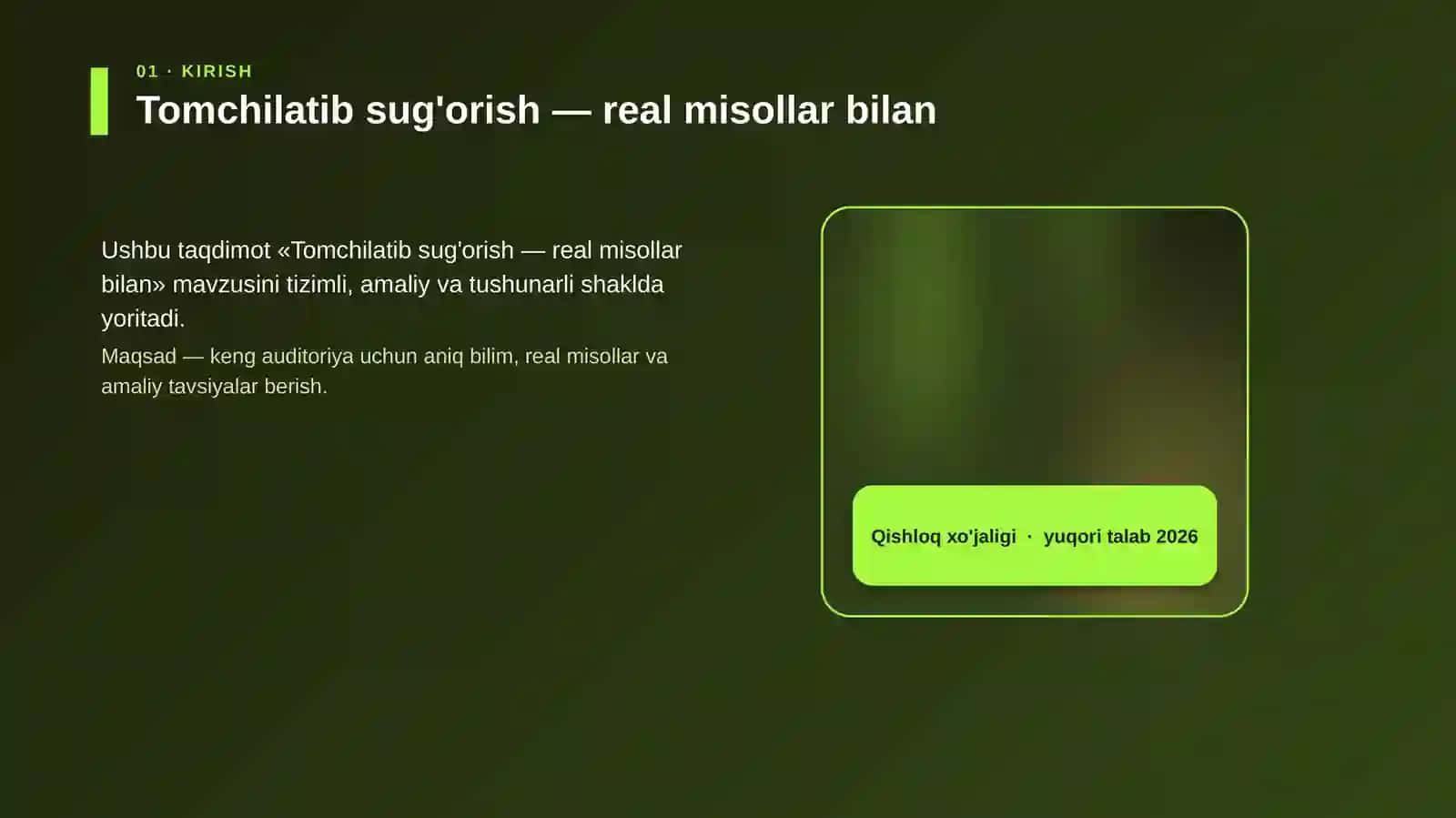 Tomchilatib sug'orish — real misollar bilan 4