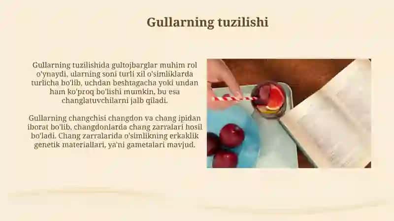 Gul va Urug'lar 4