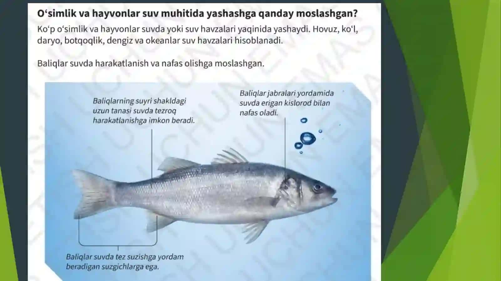 Moslanishlar 4