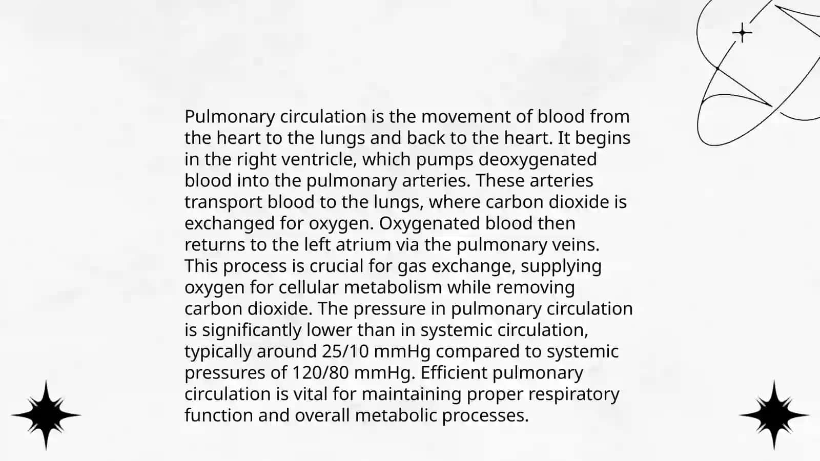 Lungs and a pulmonary system 4
