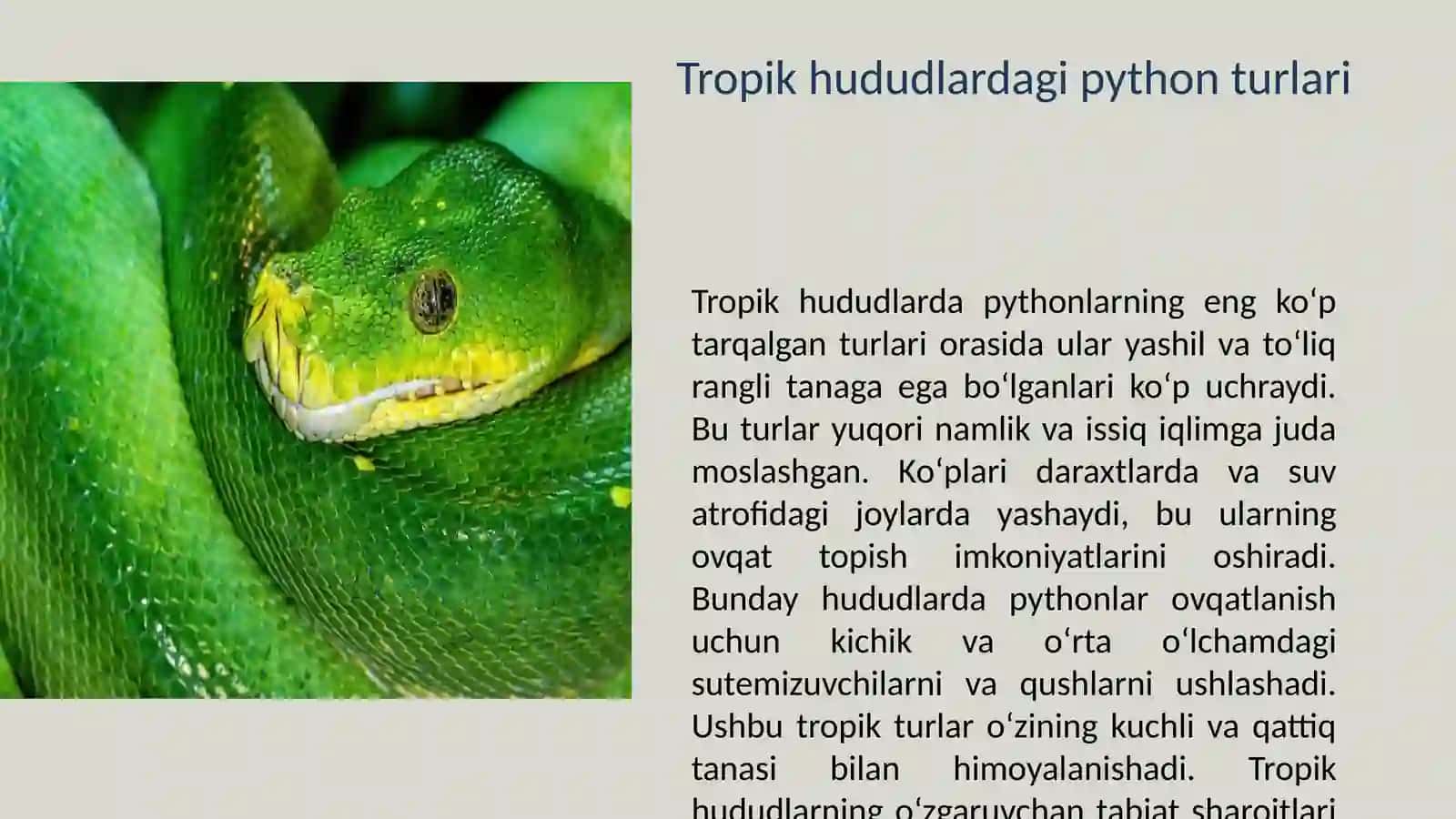Pythonlar qayerda eng ko'p tarqalgan 4