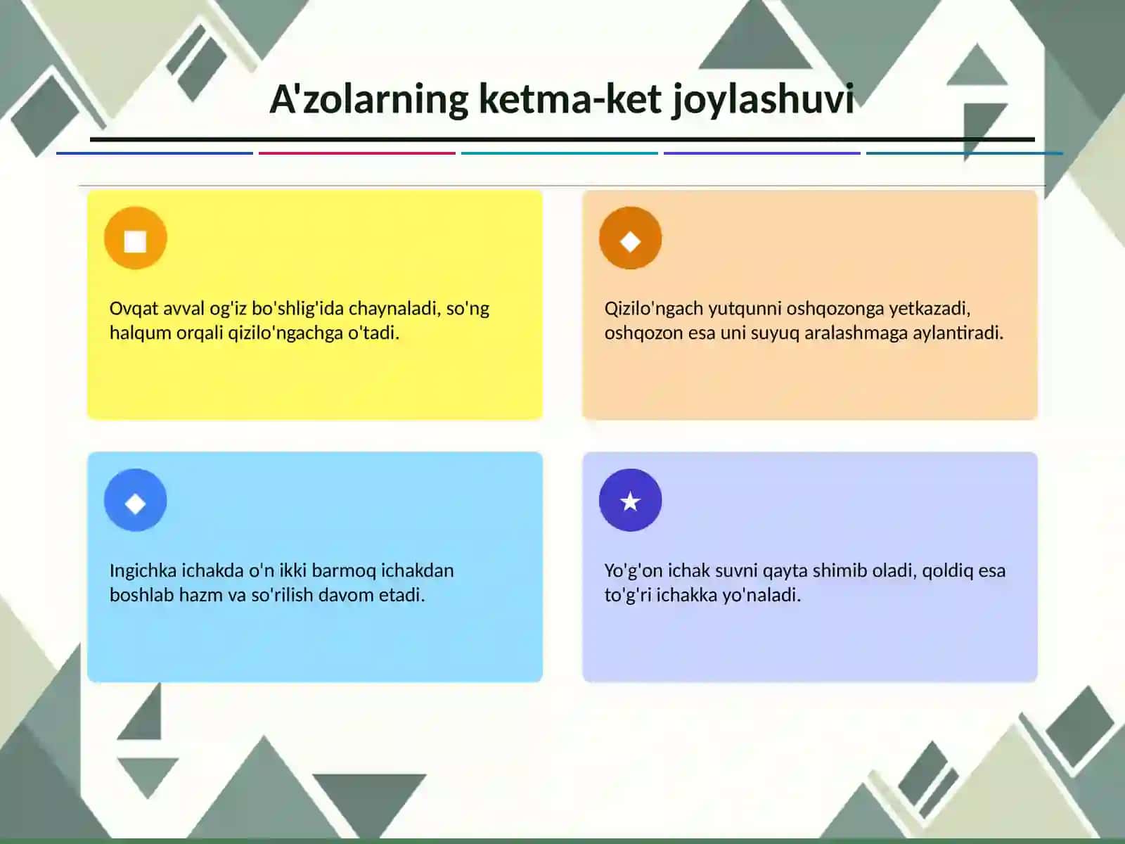 Ovqat hazm qilish tizimi 4
