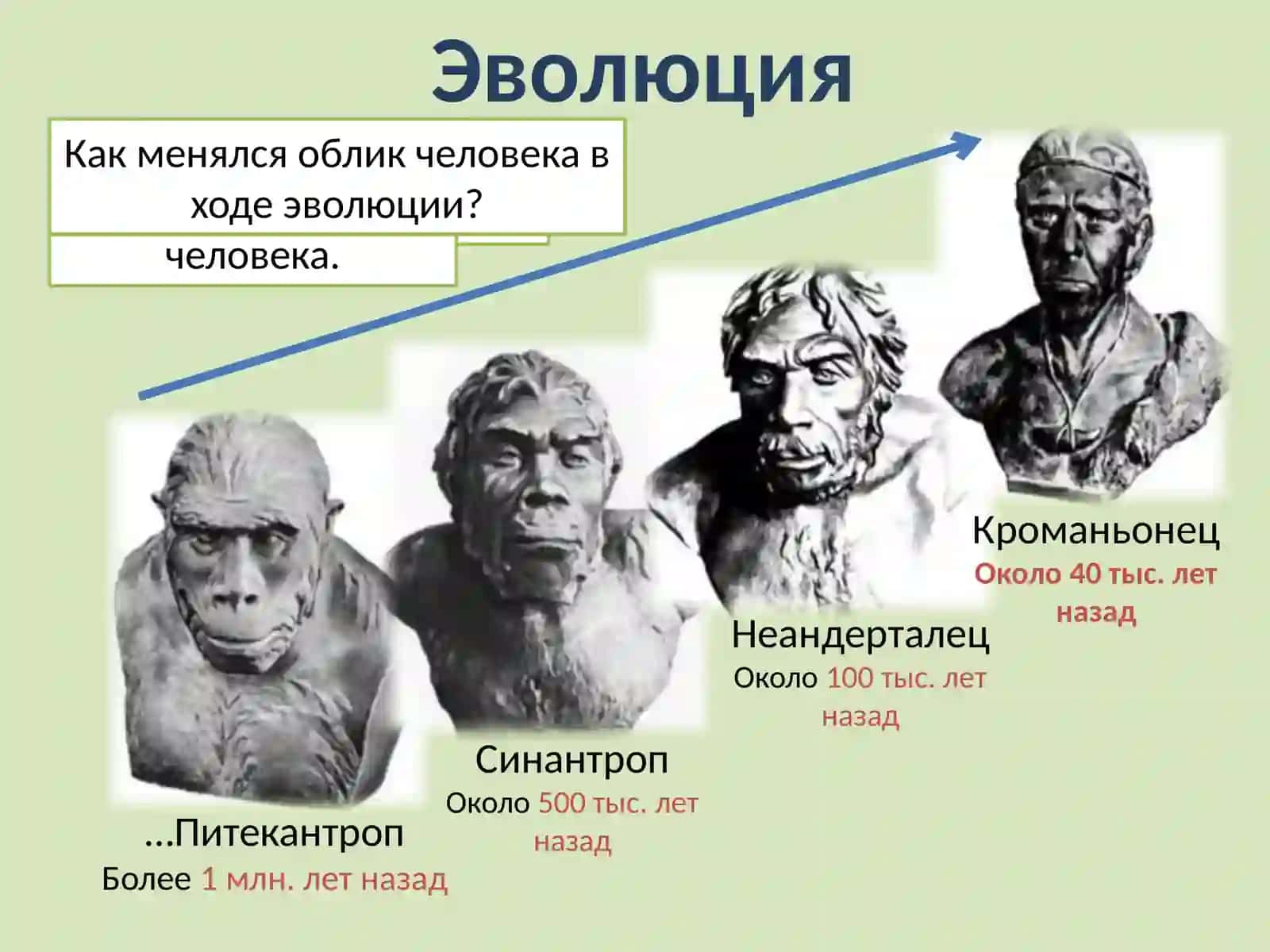 Франк Марина Рейнгольдовна 4