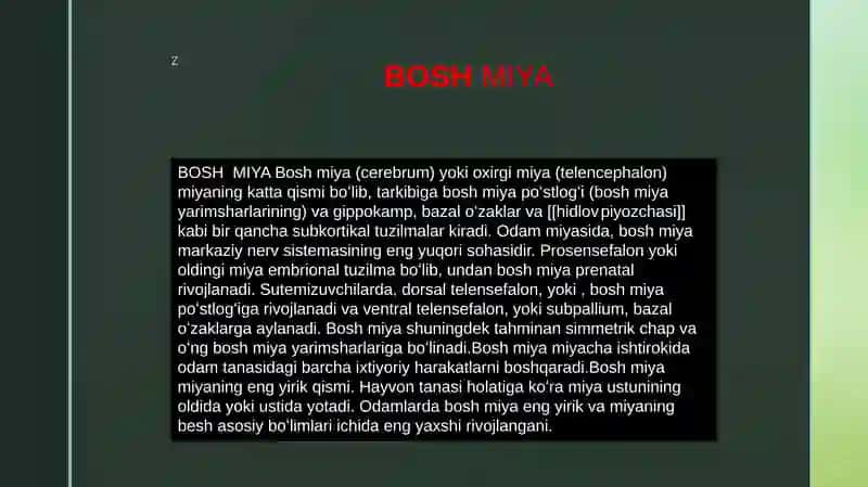 BOSH MIYA 4