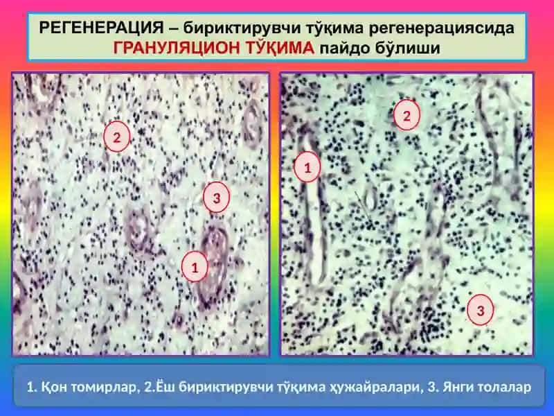 Мосланиш урин алмашиниш 4