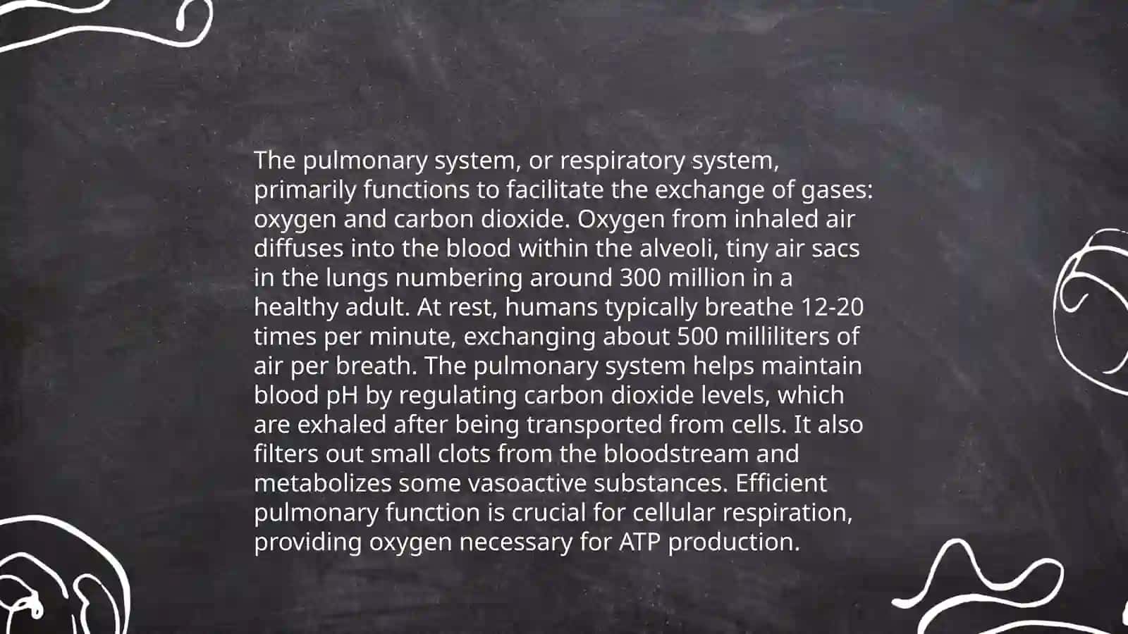 Lungs and a pulmanry system 4