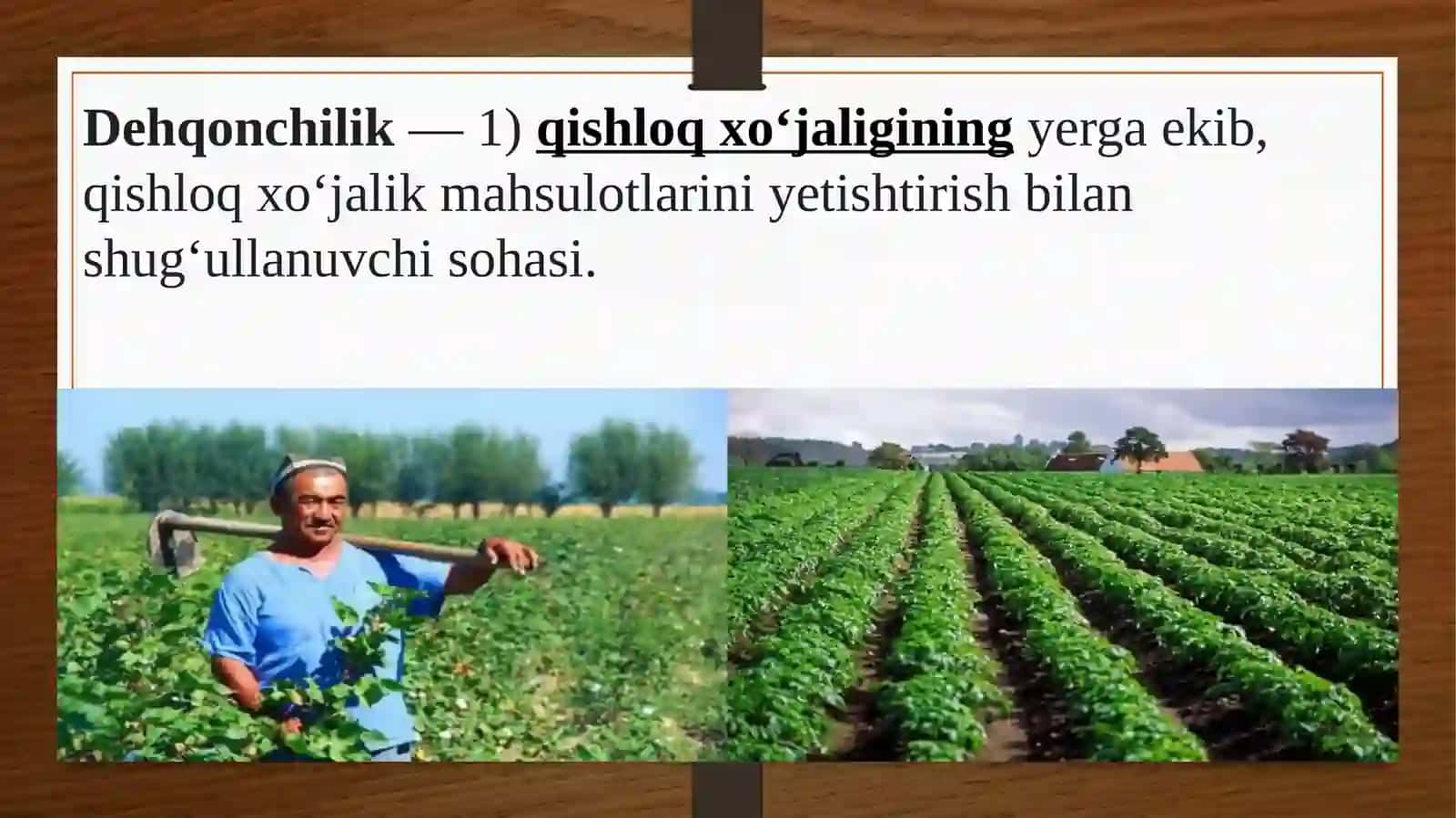 Qishloq xo‘jaligining rivojlanish tarixi 4