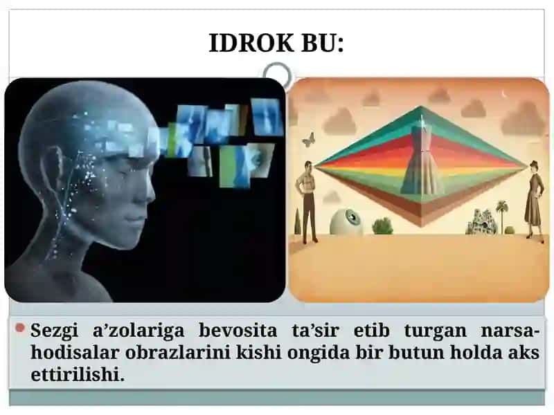 IDROK 4