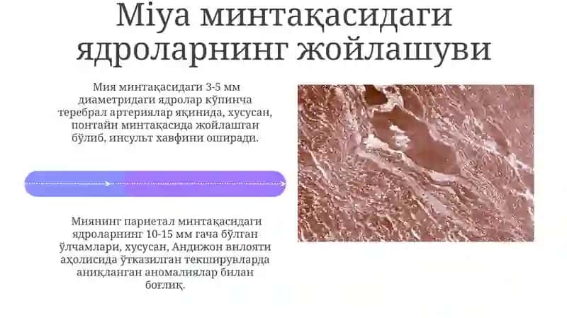 Yadrolarning klinik ahamiyati 4