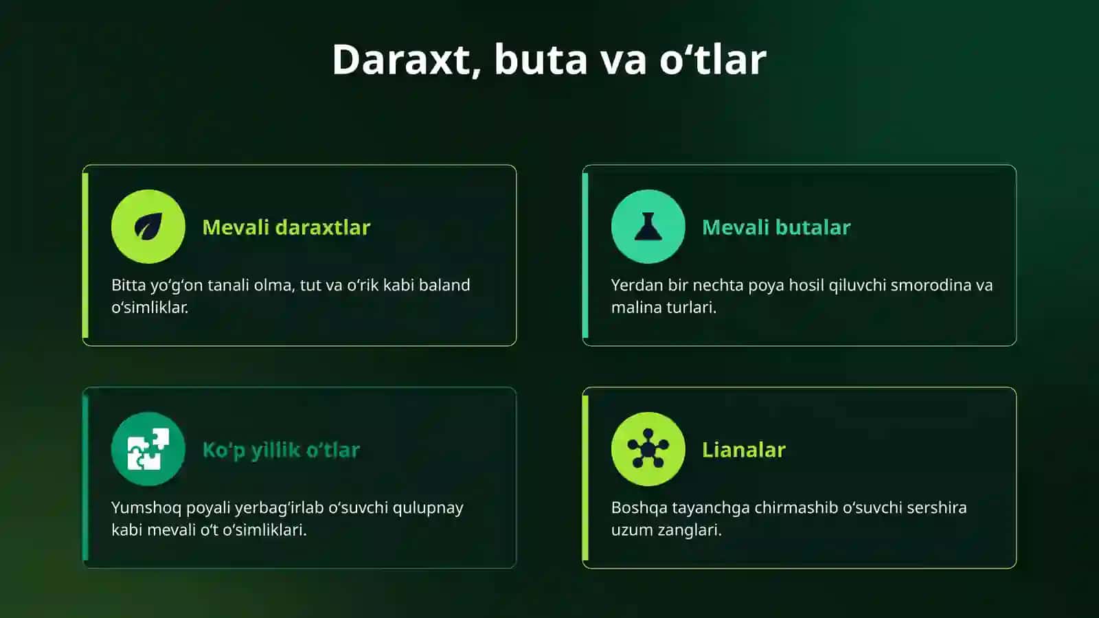 Mevali oʻsimliklar 4