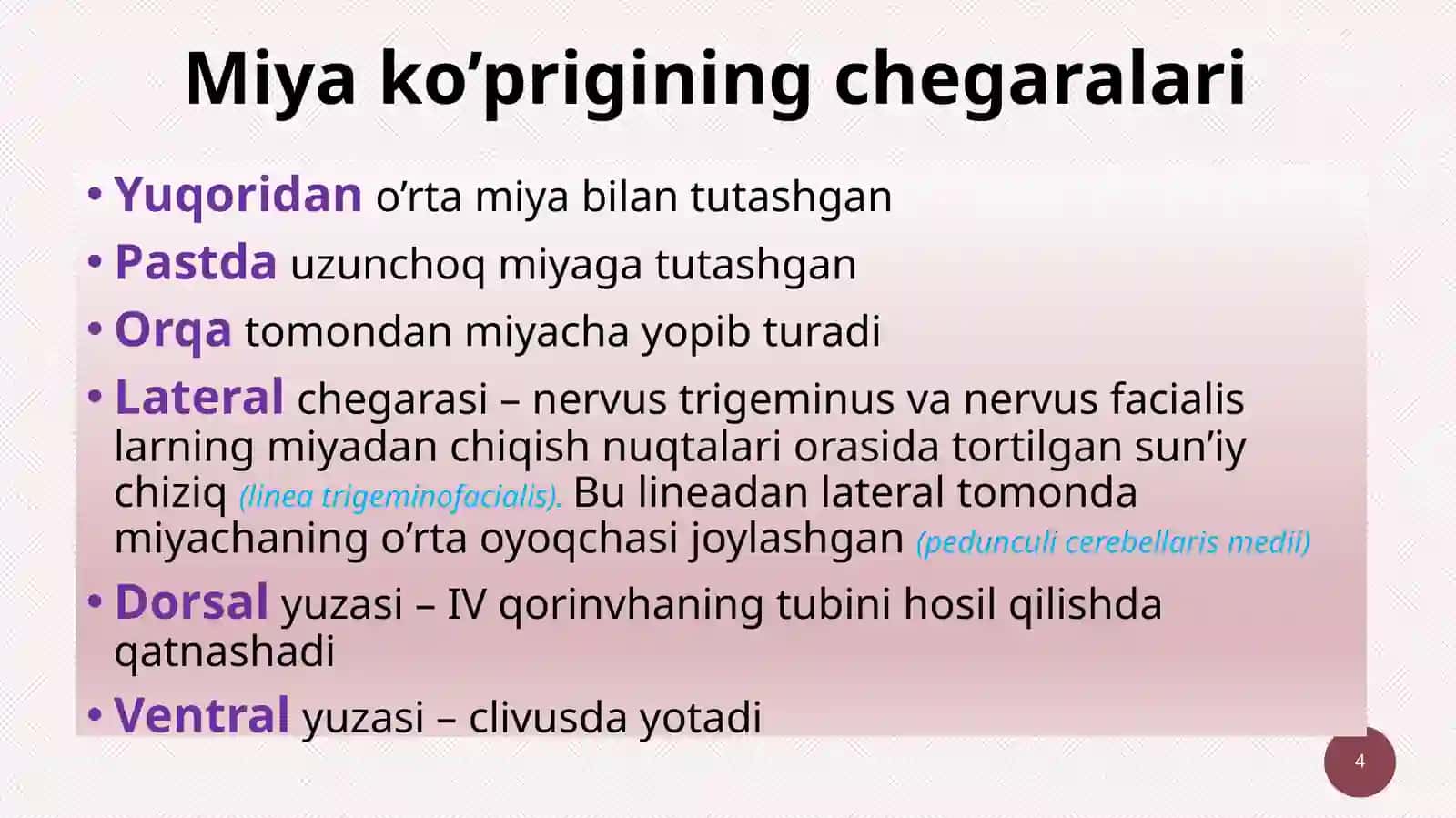Miyako’prigi(pons) 4