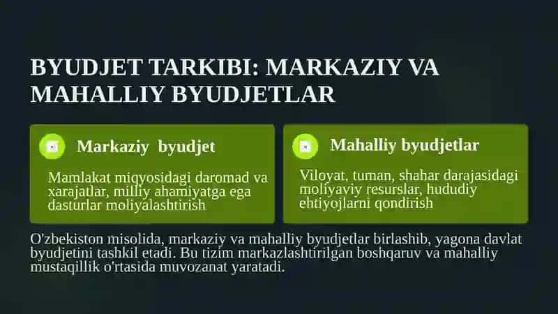 Davlat Byudjeti 4