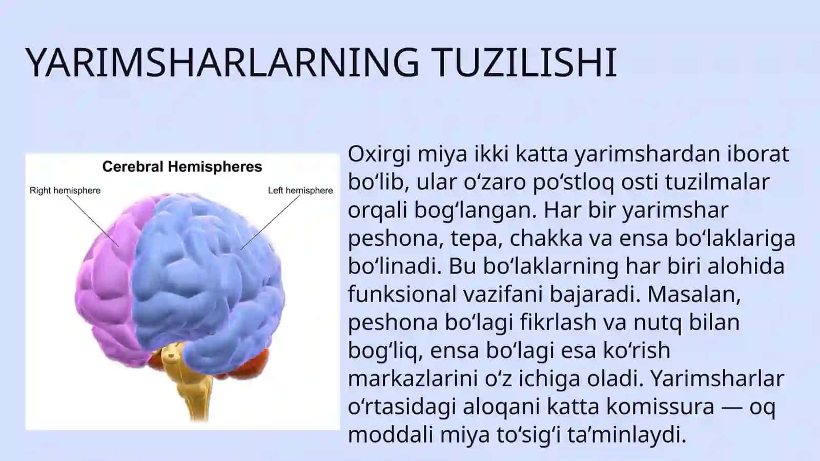 Oxirgi miya 4