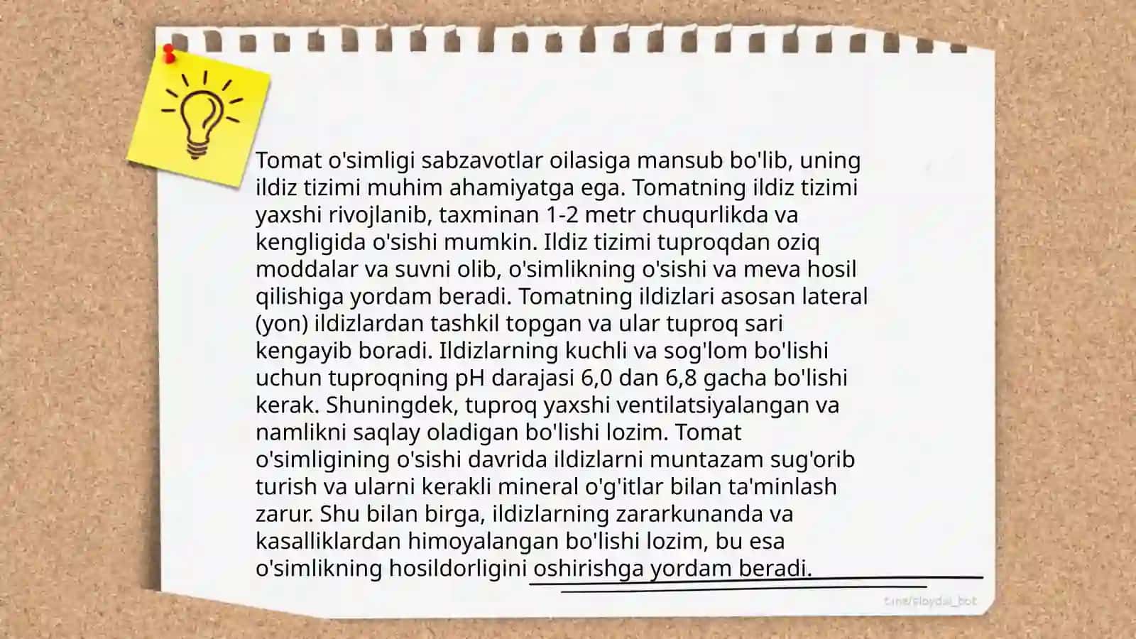 Tomatdosh sabzavotlarning morfologiyasi va navlari 4