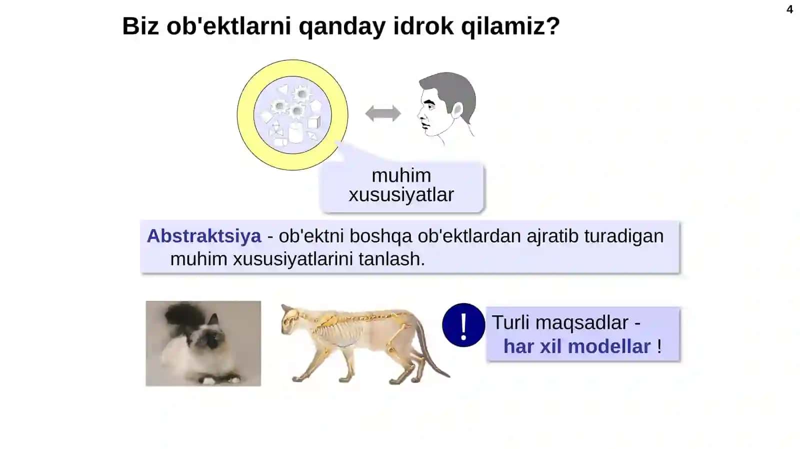 Ob'ektga yo'naltirilgan dasturlash.Python 4