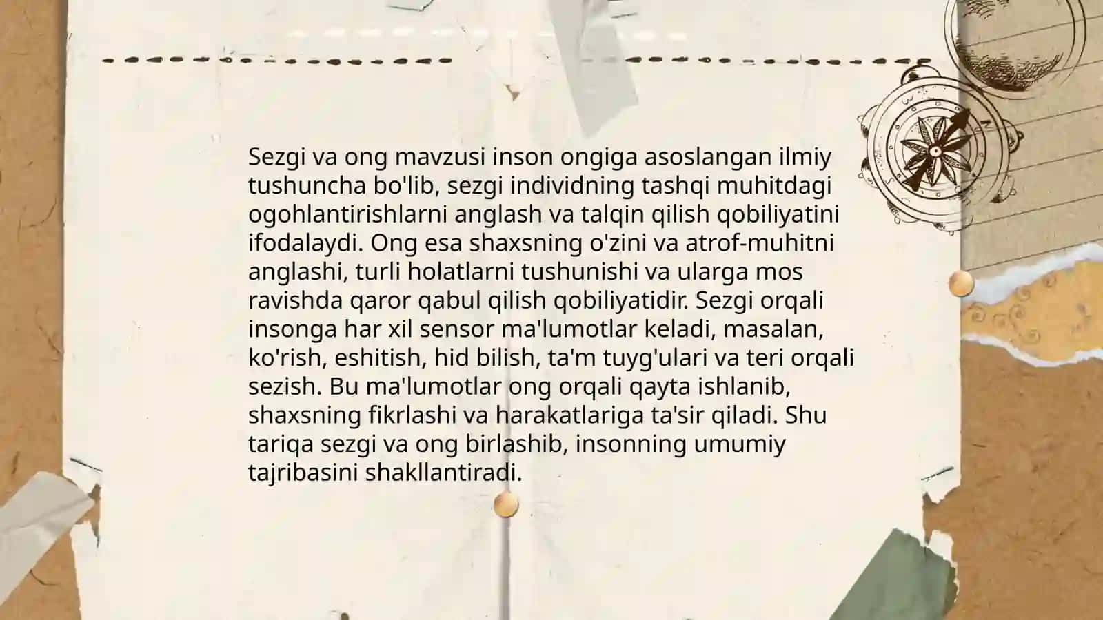 Sezgi 4