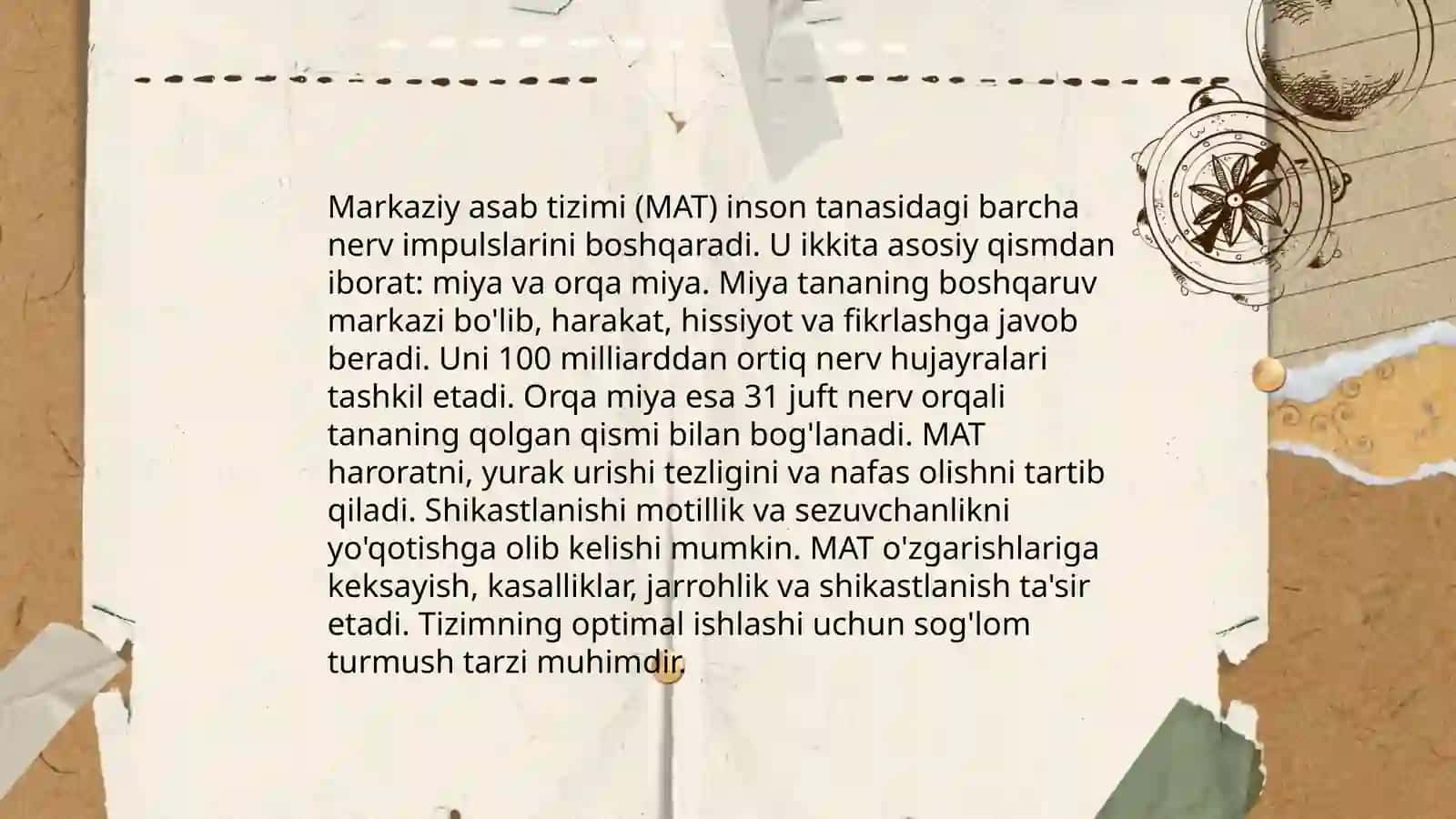 Nerv tizimi 4
