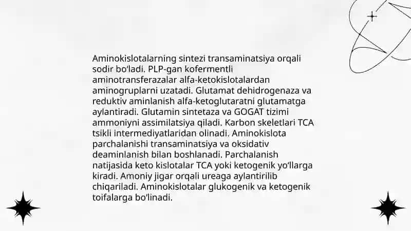 Azot almashinuvi 4