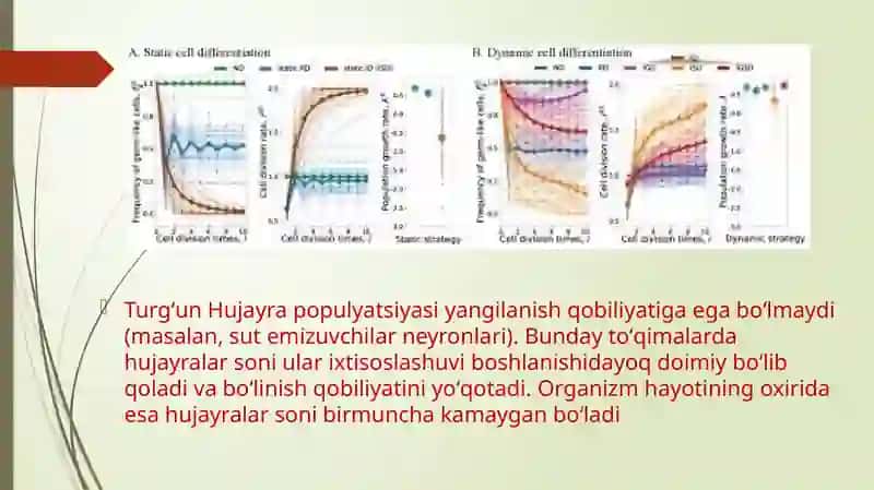 Hujayra Populyatsiyasi 4