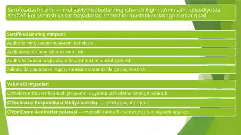 Auditorlik faoliyati 4