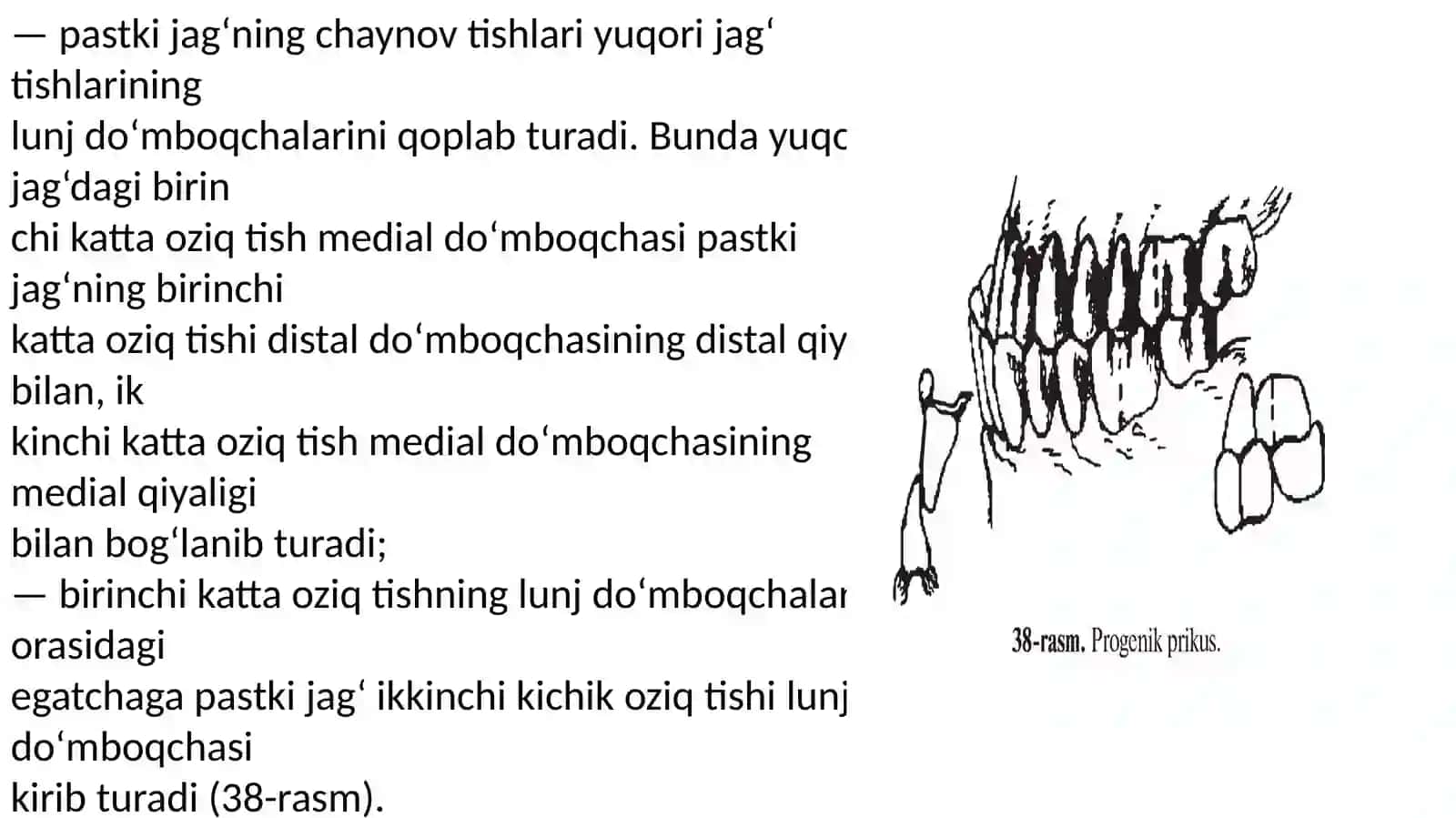 Tish prikuslari 4