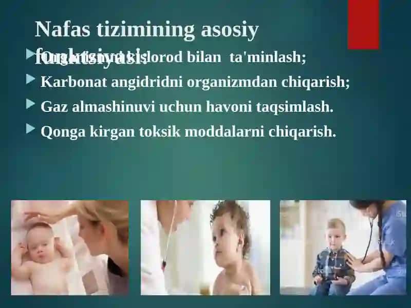 Bolalar nafas olish tizimi anatomo-fiziologik xususiyatlari 4