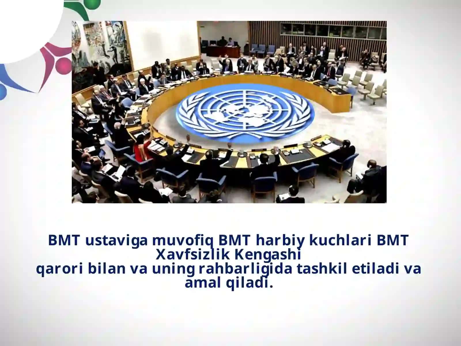 Birlashganmillatlartashkilotiningmaqsadvavazifalari 4