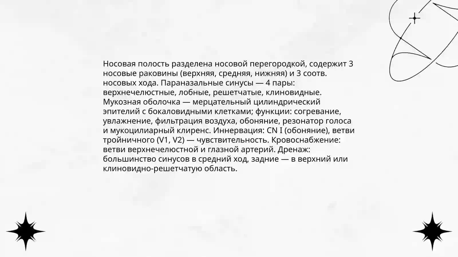 Дыхательная система 4