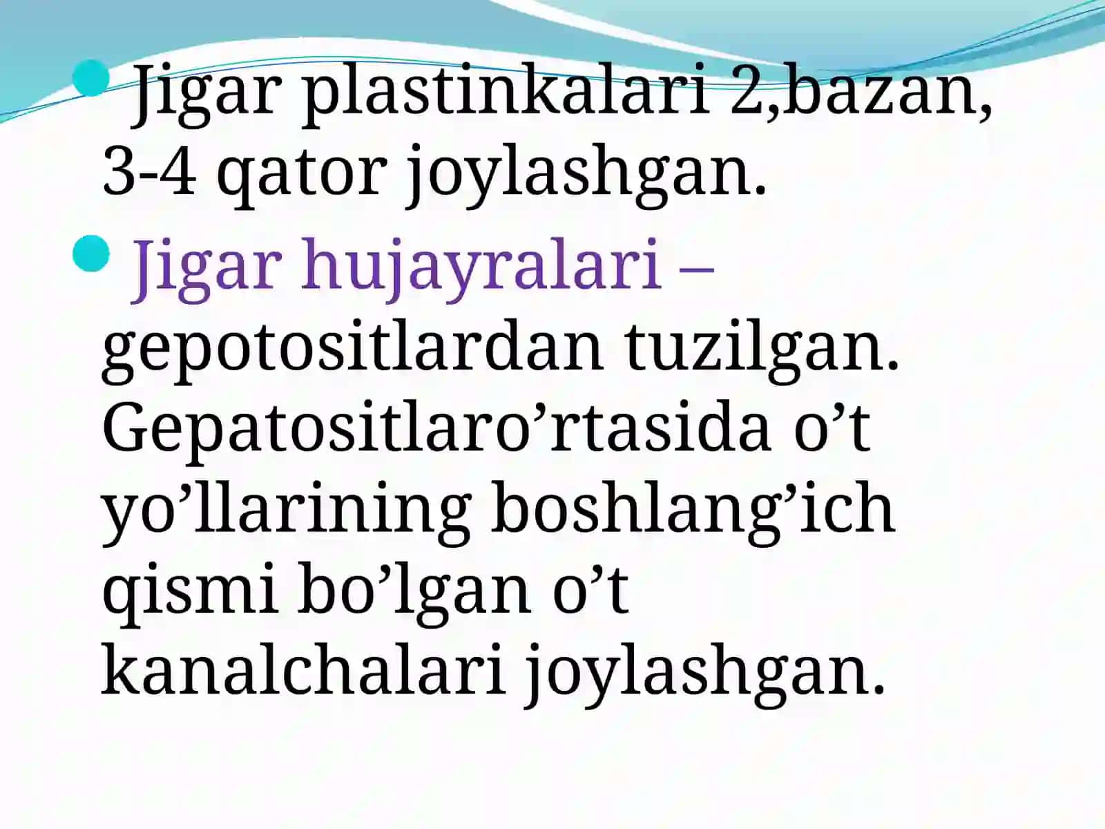 Jigar gistalogiyasi 4