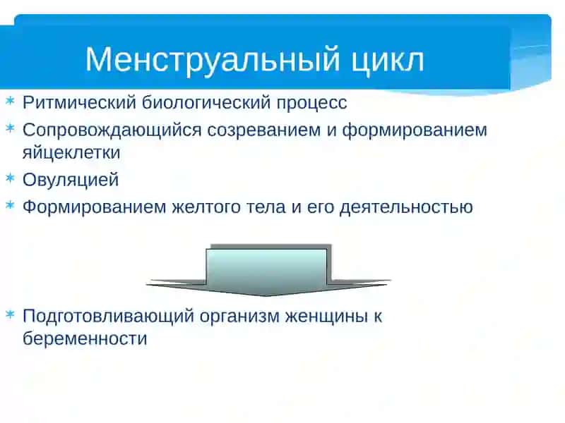 Менструальный цикл 4