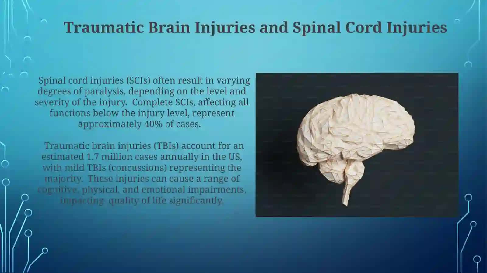 The Nervous System: Structure and Function 4
