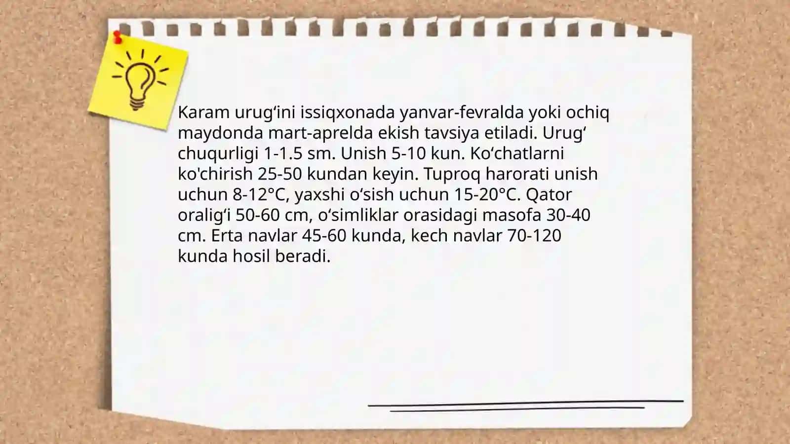 Karam vegetatsiyasi 4