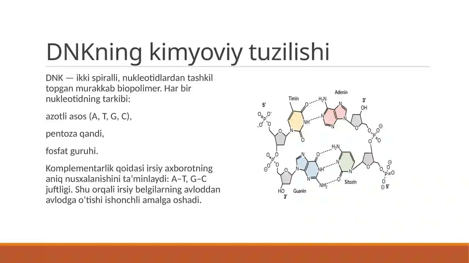 IRSIYATNING MOLEKULYAR ASOSLARI 4
