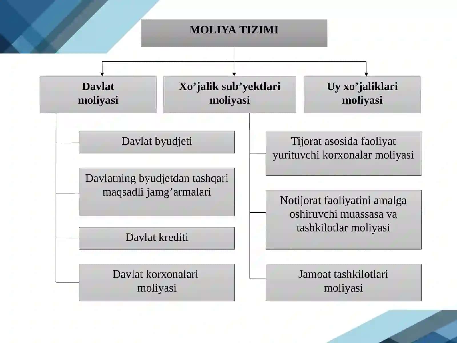 Davlat moliyasi tizimi 4