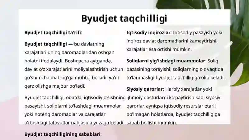 Davlat byudjeti 4