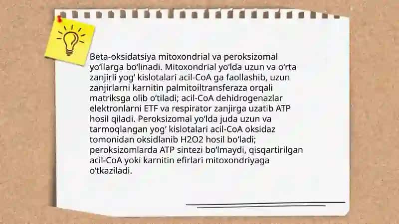 Lipid tabiatli moddalarning metabolizmi 4