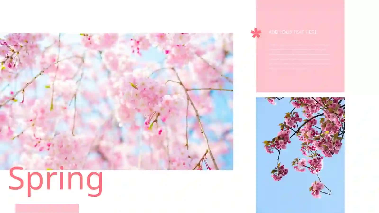 Spring 4