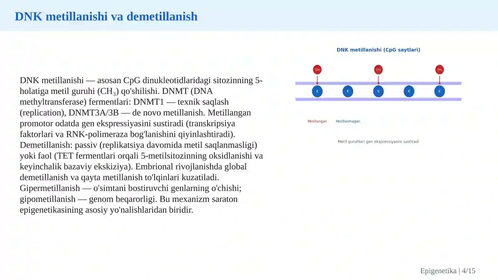 Epigenetika va gen ekspressiyasining molekulyar boshqarilishi 4