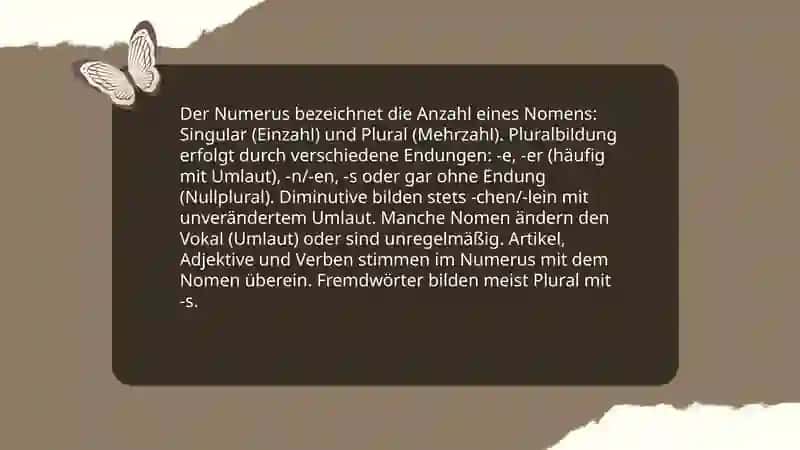 Das Nomen 4