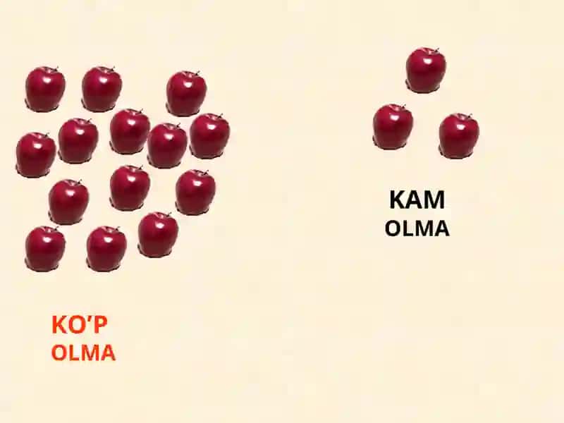 OLMA 4