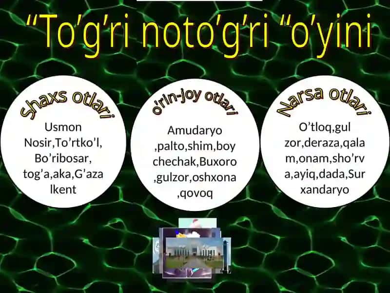 O`rin-joy otlari 4