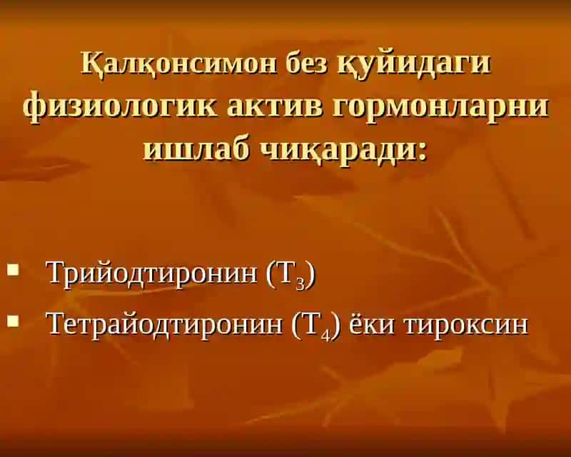 Қалқонсимон без ва уни функсияси 4