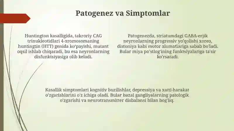 Gentington xoreyasi 4